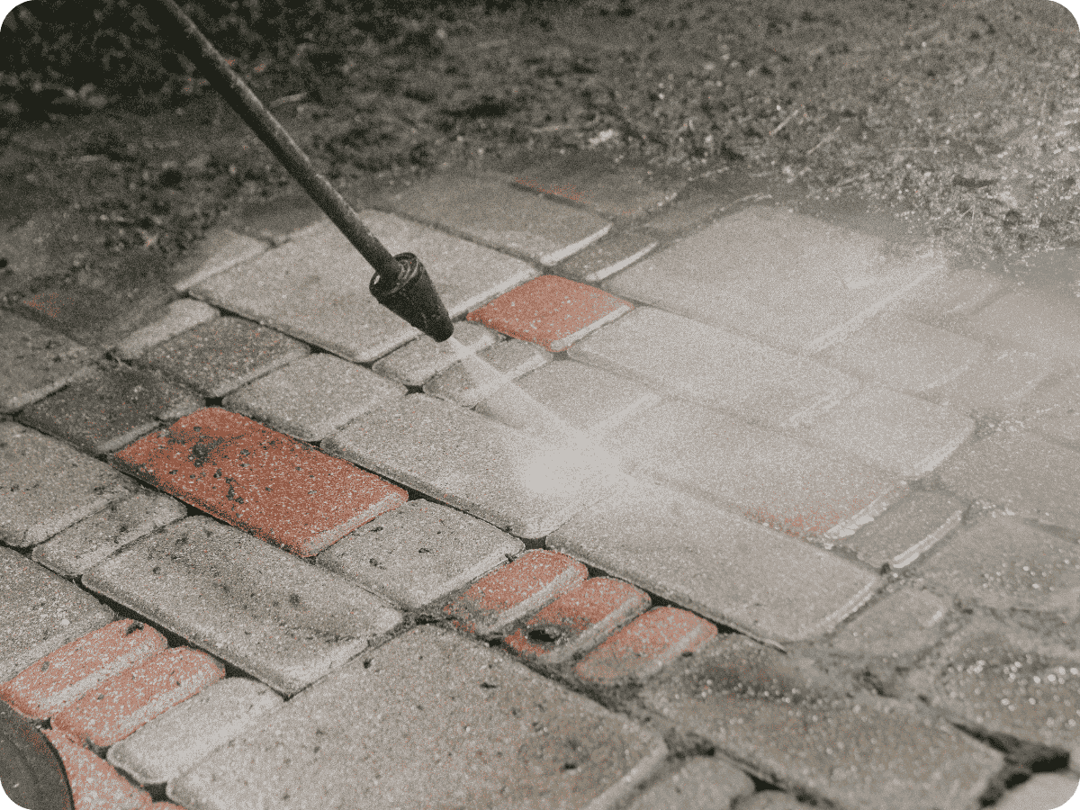 Untitled design (84)