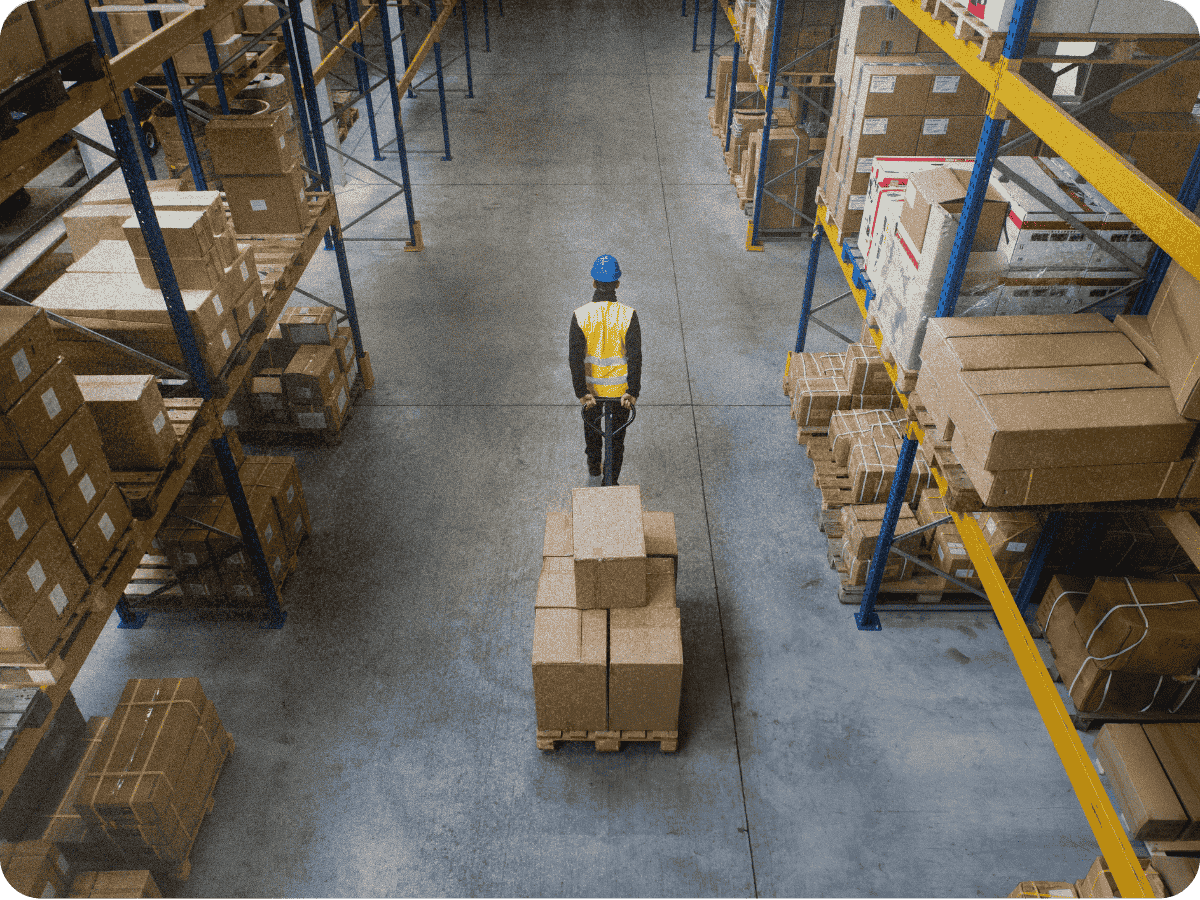 Untitled design (88)